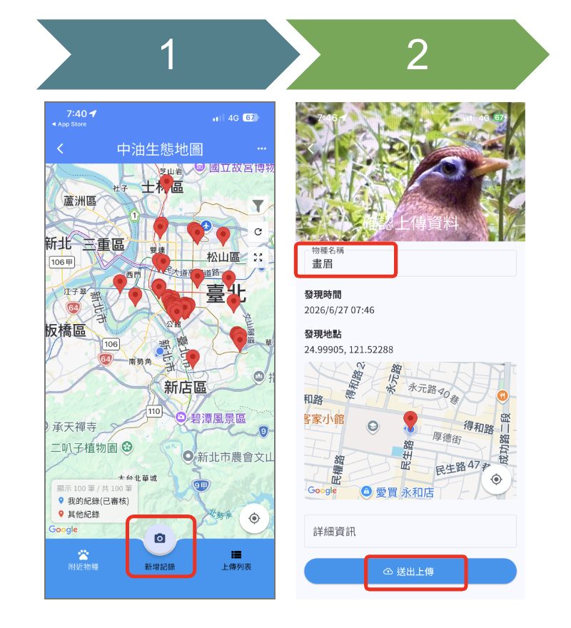 APP 物種目擊回報操作示意圖，顯示 2 個步驟：點選下方新增紀錄按鈕牌照並填寫物種資訊後上傳回報