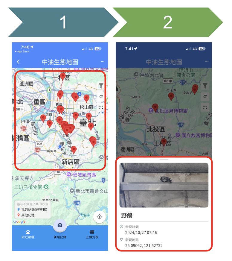 APP 物種查詢示意圖，顯示 2 個步驟：地圖上的紅色圖釘與點選後出現的物種詳細資訊